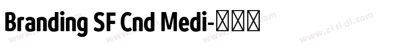 Branding SF Cnd Medi字体转换